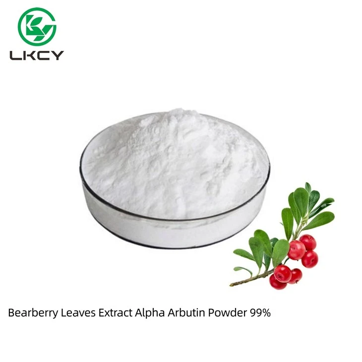 Chiết xuất lá Bearberry Bột Alpha Arbutin